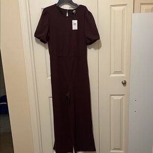 Elegant Burgundy Jumpsuit